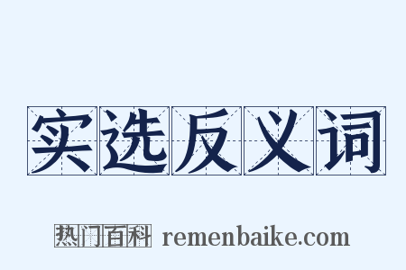 实选反义词是什么意思的图片